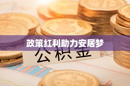 桃江政策红利助力安居梦