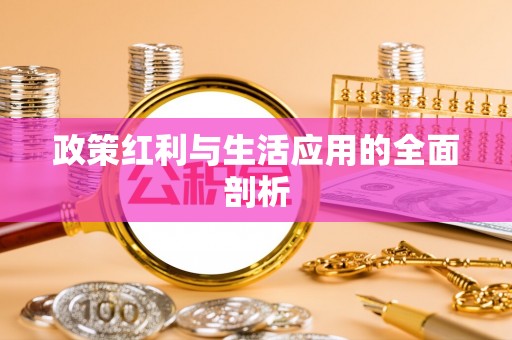 桃江政策红利与生活应用的全面剖析