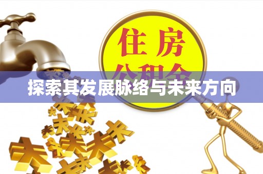 桃江探索其发展脉络与未来方向