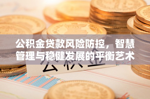 桃江公积金贷款风险防控，智慧管理与稳健发展的平衡艺术
