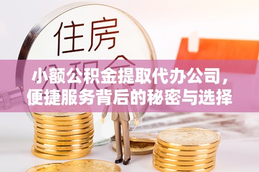 桃江小额公积金提取代办公司，便捷服务背后的秘密与选择指南