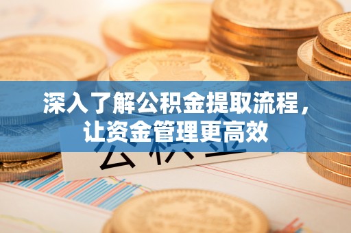 桃江深入了解公积金提取流程，让资金管理更高效