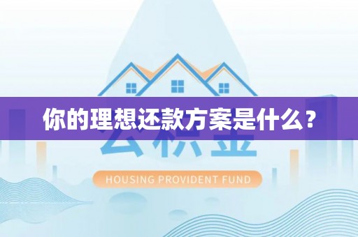 桃江你的理想还款方案是什么？