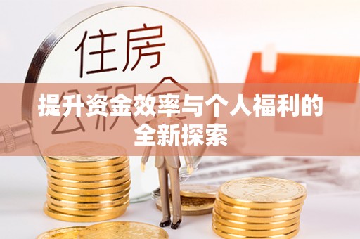 桃江提升资金效率与个人福利的全新探索
