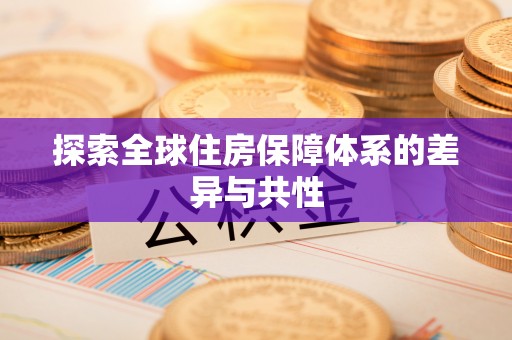 桃江探索全球住房保障体系的差异与共性