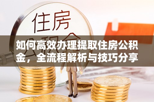 桃江如何高效办理提取住房公积金，全流程解析与技巧分享