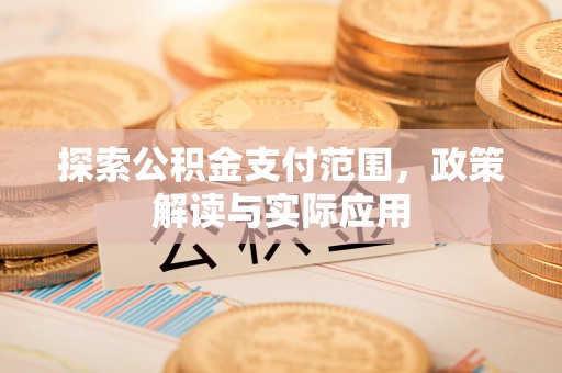 桃江探索公积金支付范围，政策解读与实际应用