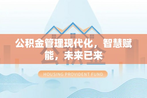 桃江公积金管理现代化，智慧赋能，未来已来