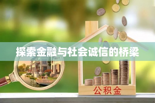 桃江探索金融与社会诚信的桥梁