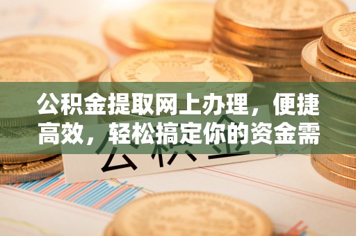 桃江公积金提取网上办理，便捷高效，轻松搞定你的资金需求