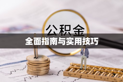 桃江全面指南与实用技巧