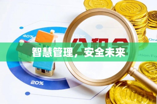 桃江智慧管理，安全未来