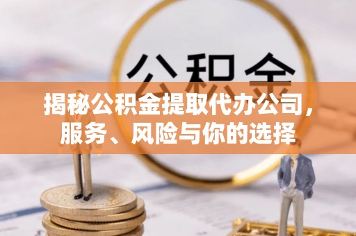 桃江揭秘公积金提取代办公司，服务、风险与你的选择