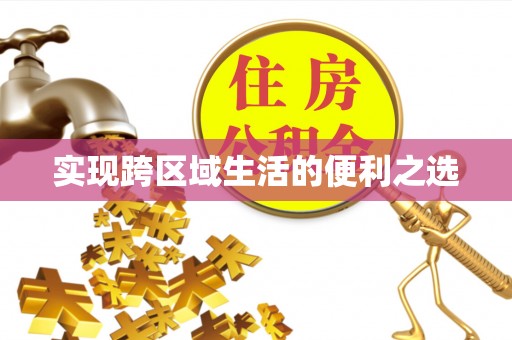 桃江实现跨区域生活的便利之选