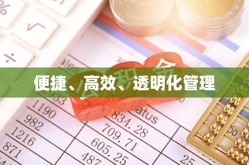 桃江便捷、高效、透明化管理