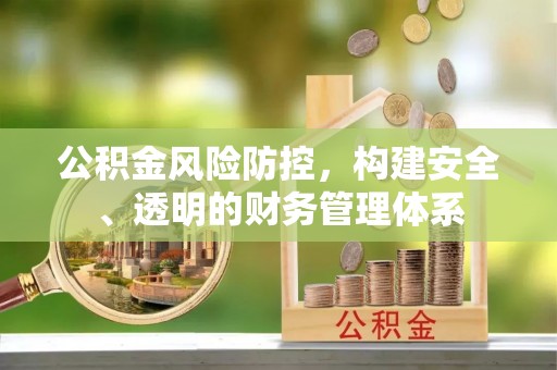 桃江公积金风险防控，构建安全、透明的财务管理体系