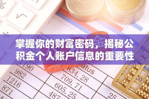桃江掌握你的财富密码，揭秘公积金个人账户信息的重要性