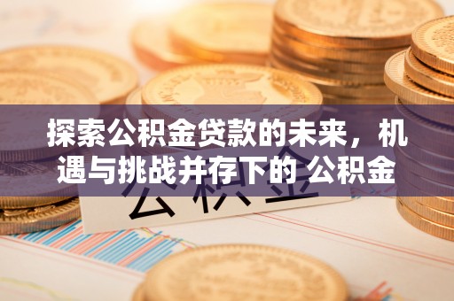 桃江探索公积金贷款的未来，机遇与挑战并存下的 公积金贷款风险防控