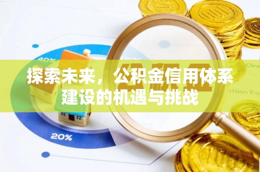 桃江探索未来，公积金信用体系建设的机遇与挑战