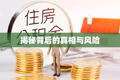 桃江揭秘背后的真相与风险