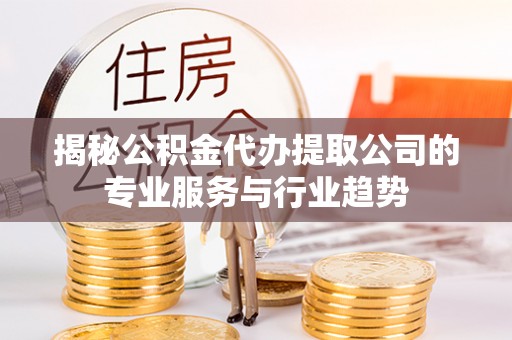 桃江揭秘公积金代办提取公司的专业服务与行业趋势