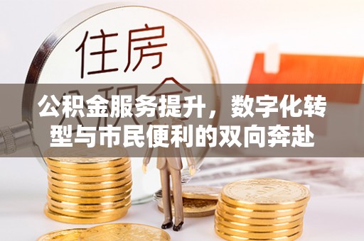 桃江公积金服务提升，数字化转型与市民便利的双向奔赴
