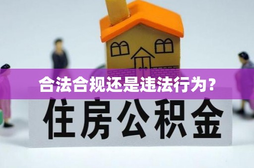 桃江合法合规还是违法行为？