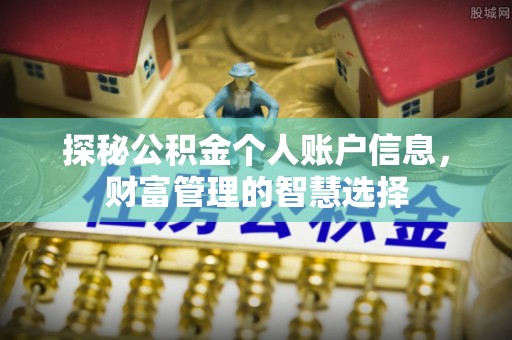桃江探秘公积金个人账户信息，财富管理的智慧选择