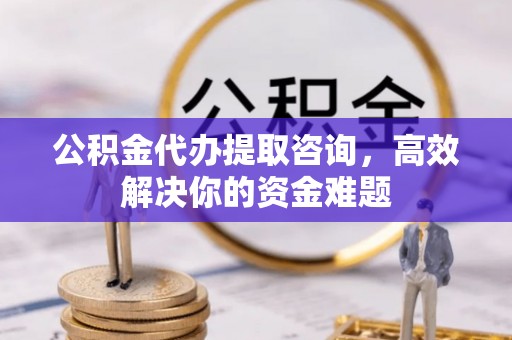 桃江公积金代办提取咨询，高效解决你的资金难题