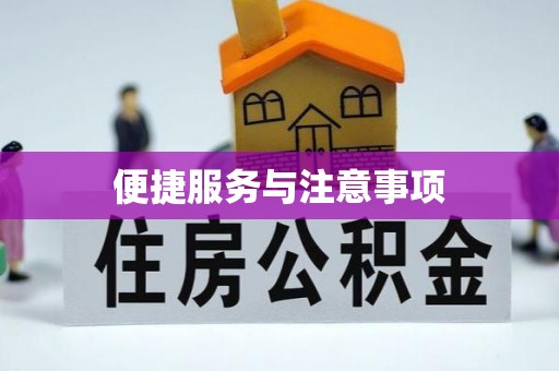 桃江便捷服务与注意事项
