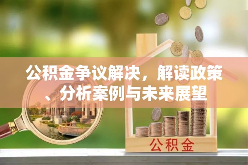 桃江公积金争议解决，解读政策、分析案例与未来展望