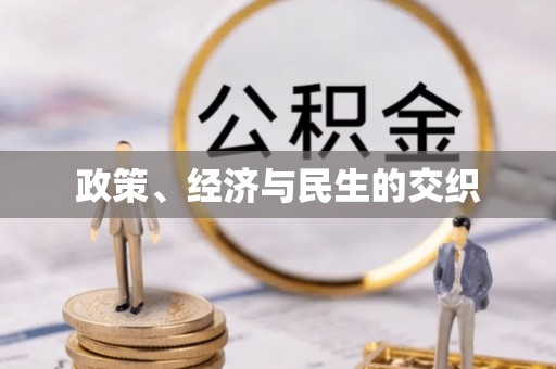 桃江政策、经济与民生的交织