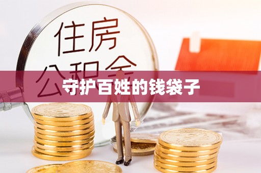 桃江守护百姓的钱袋子