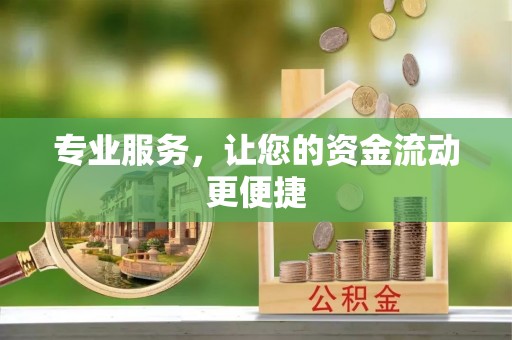 桃江专业服务，让您的资金流动更便捷