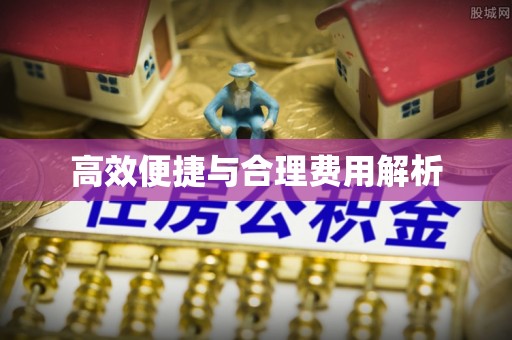 桃江高效便捷与合理费用解析