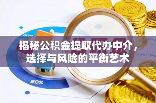 桃江揭秘公积金提取代办中介，选择与风险的平衡艺术