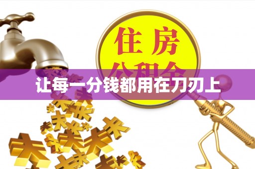 桃江让每一分钱都用在刀刃上