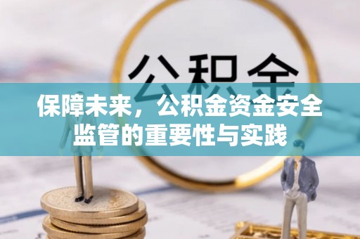 桃江保障未来，公积金资金安全监管的重要性与实践