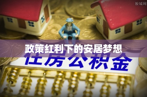 桃江政策红利下的安居梦想