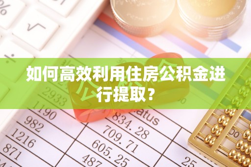 桃江如何高效利用住房公积金进行提取？