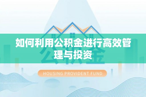 桃江如何利用公积金进行高效管理与投资