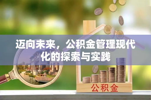 桃江迈向未来，公积金管理现代化的探索与实践