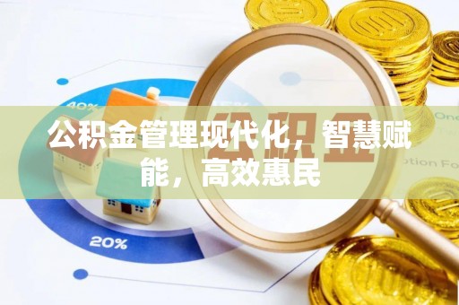 桃江公积金管理现代化，智慧赋能，高效惠民