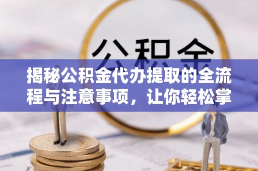 桃江揭秘公积金代办提取的全流程与注意事项，让你轻松掌握财富管理新技能