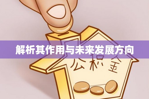 桃江解析其作用与未来发展方向