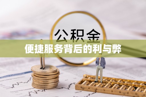 桃江便捷服务背后的利与弊