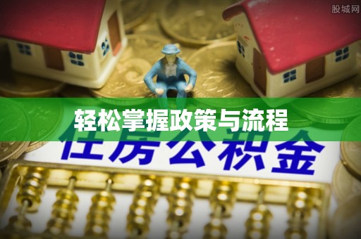 桃江轻松掌握政策与流程