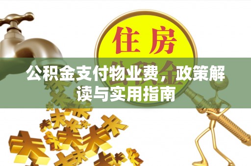 桃江公积金支付物业费，政策解读与实用指南