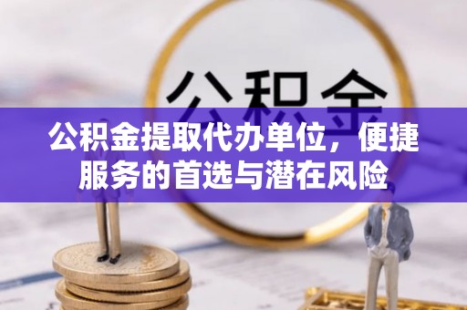桃江公积金提取代办单位，便捷服务的首选与潜在风险