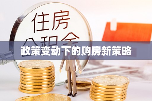 桃江政策变动下的购房新策略